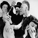 interview Sleepytime Gorilla Museum